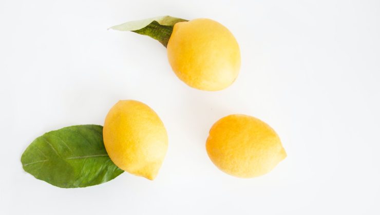 Pomerančové a citronové listy, protože jsou užitečné