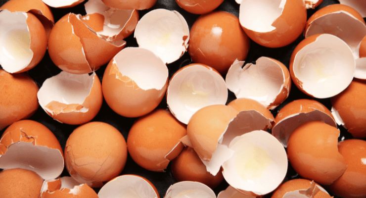 Vaječné skořápky v mrazáku