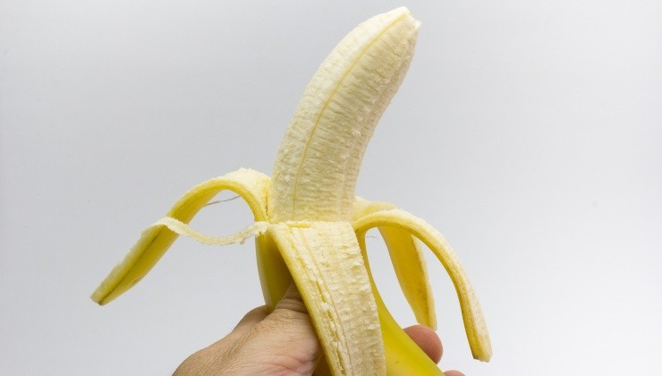 le phloème de la banane