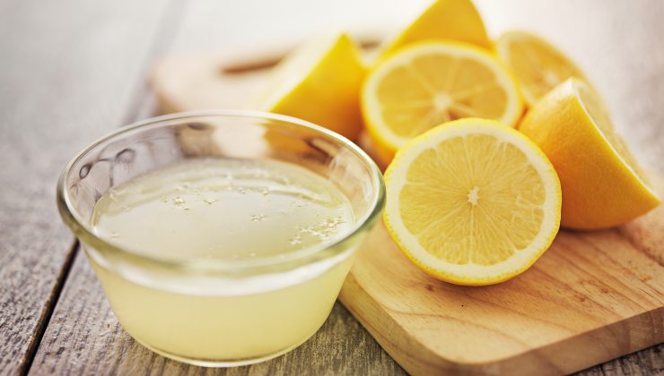 Citron, nejpoužívanější citrusové ovoce