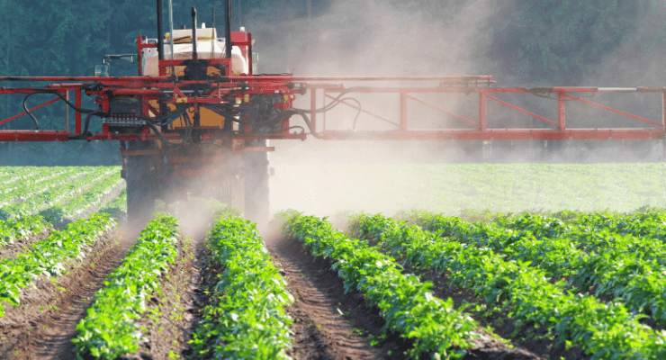 Pesticidi nei pomodori