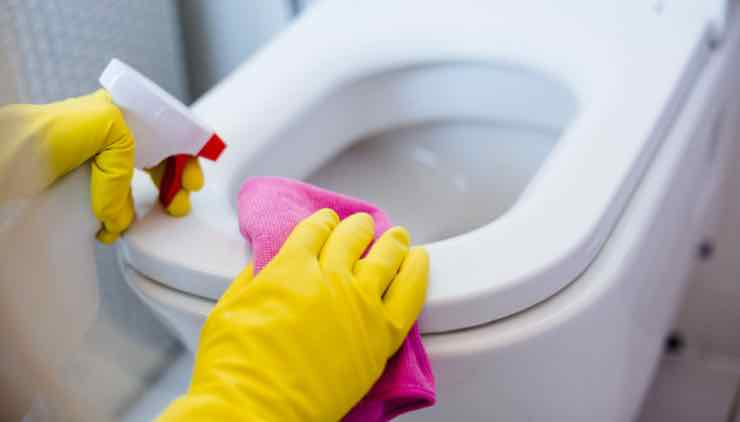 WC pulito con il trucco che gli idraulici nascondono