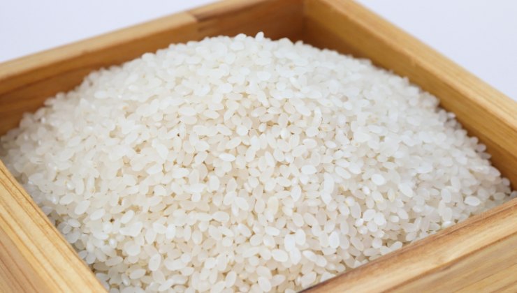 riz