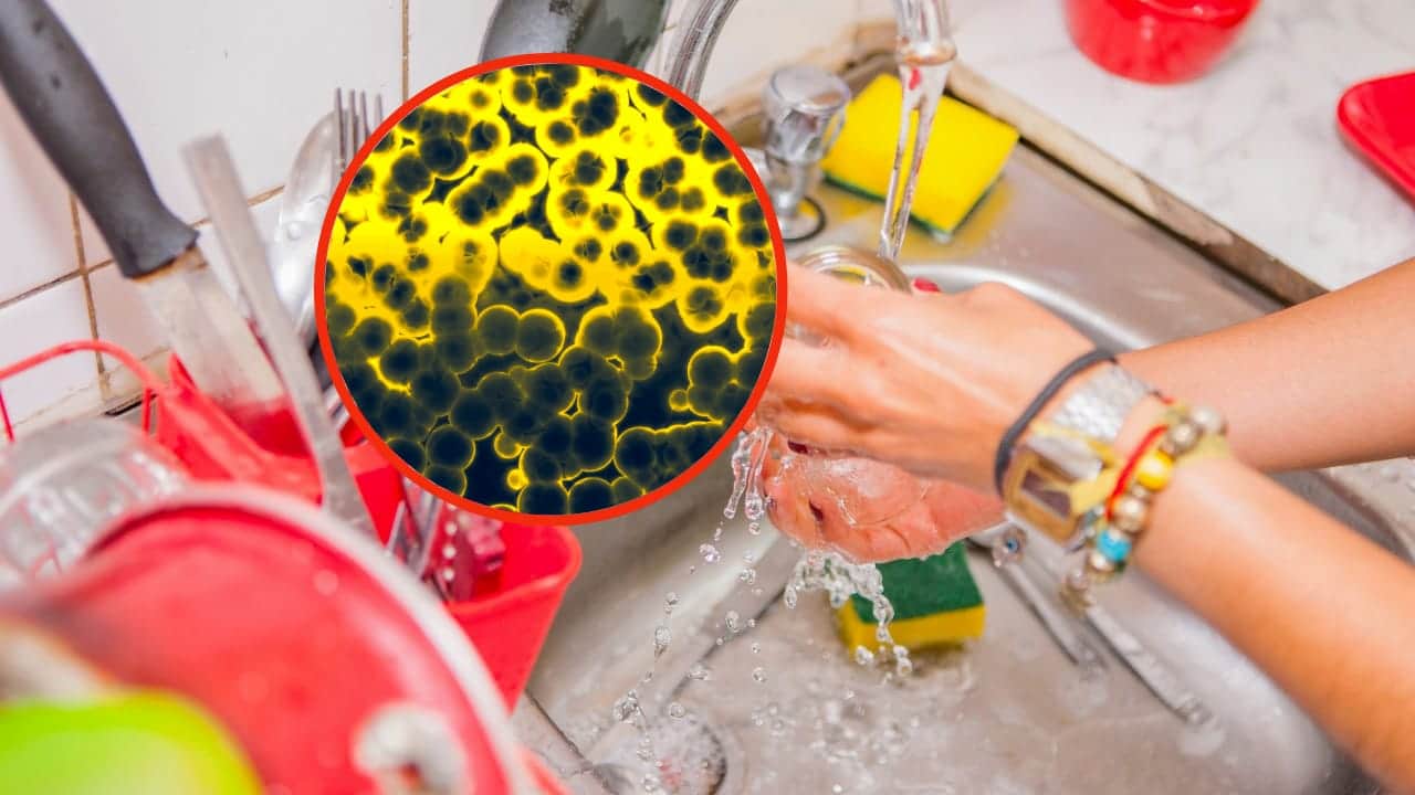 I 5 oggetti più sporchi della tua cucina: quali sono e come risolvere