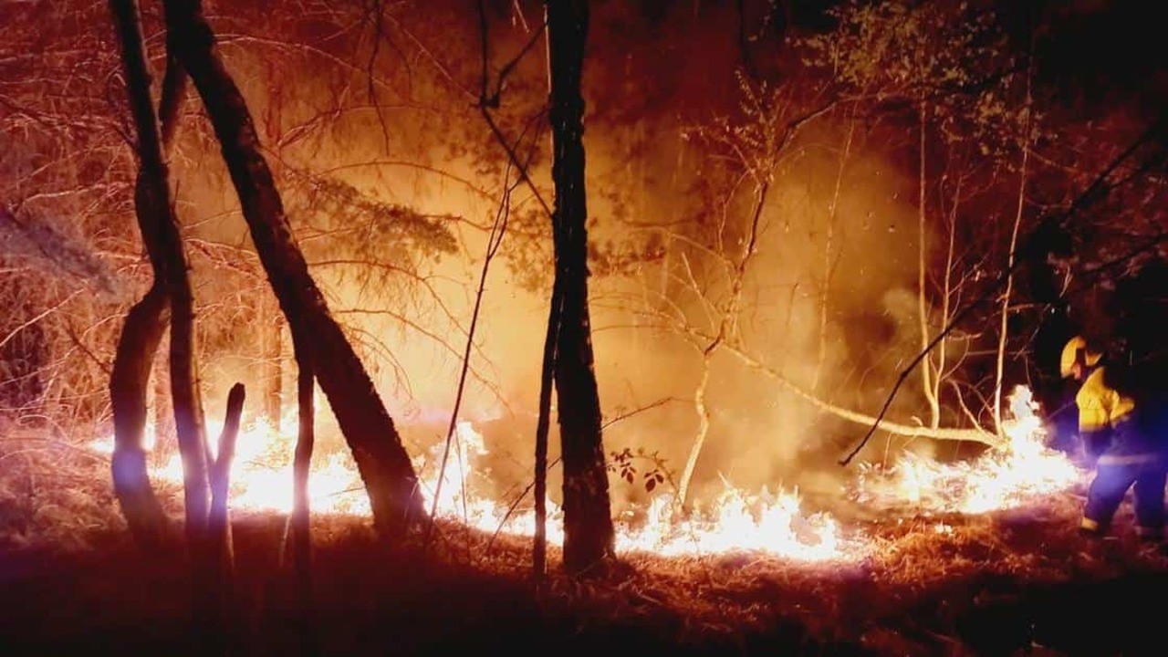 Incendio Parco delle Groane