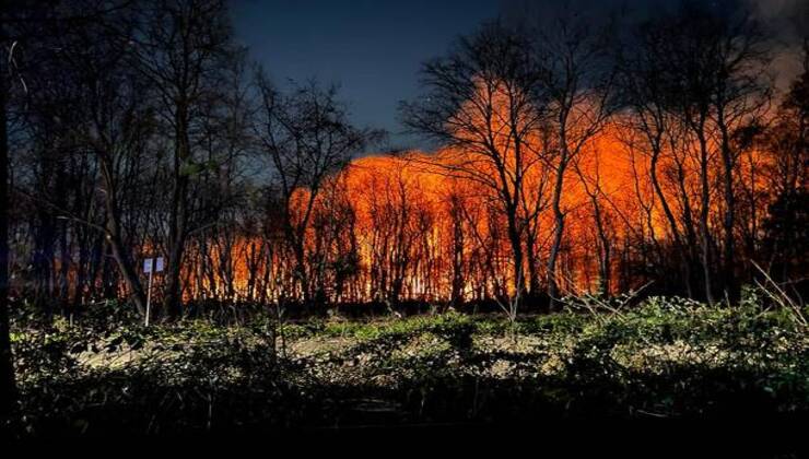 Parco delle Groane in fiamme