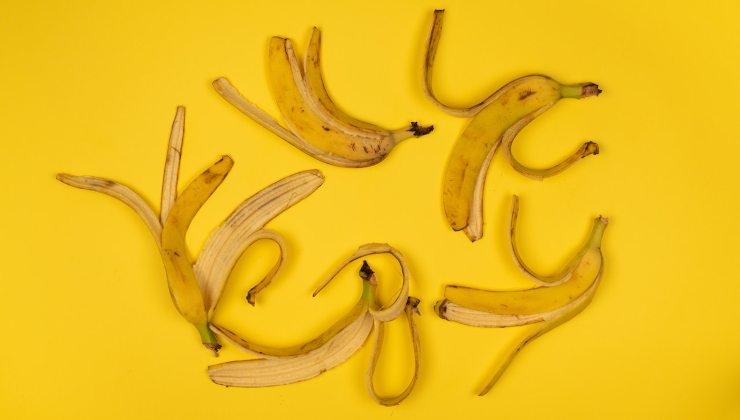Pelures de banane