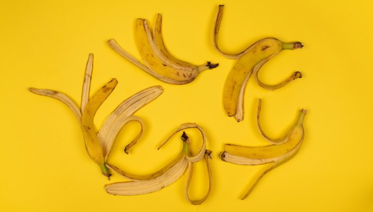 Cáscaras de bananas