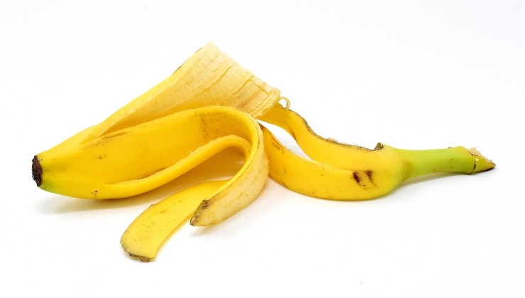 Cáscara de plátano