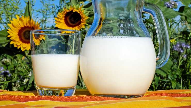 rostlinné mléko