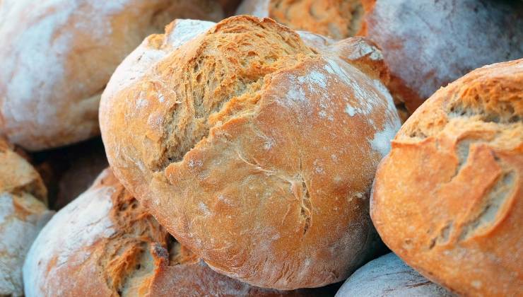 prezzo del pane aumentato - caro spesa 