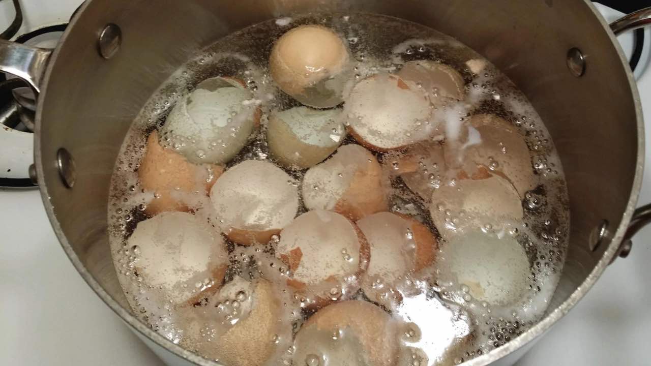 Hervir cáscaras de huevo