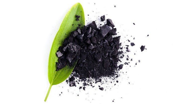 Carbono biológico para el suelo
