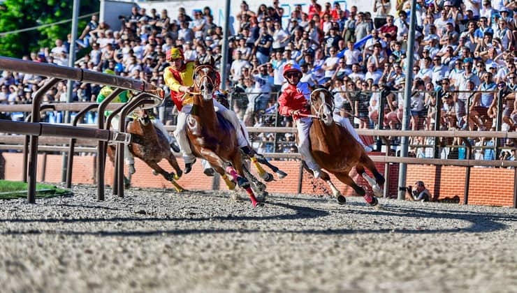 Cavalli in gara al palio di Legnago