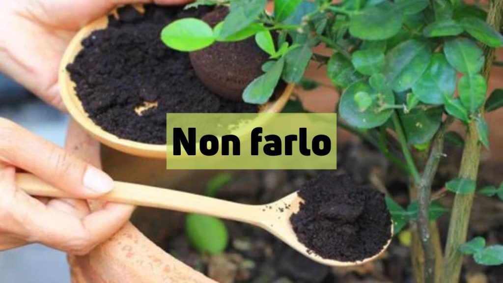 Raccoglitore Caffè Usato Contenitore Caffè Espresso Acciaio Inox - Scatola Knock Box Professionale Knock Box Acciaio Inox Professionale