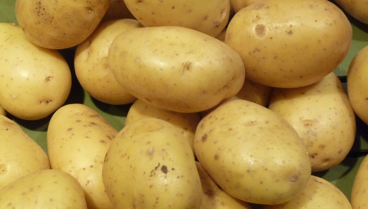 Patatas como fertilizante