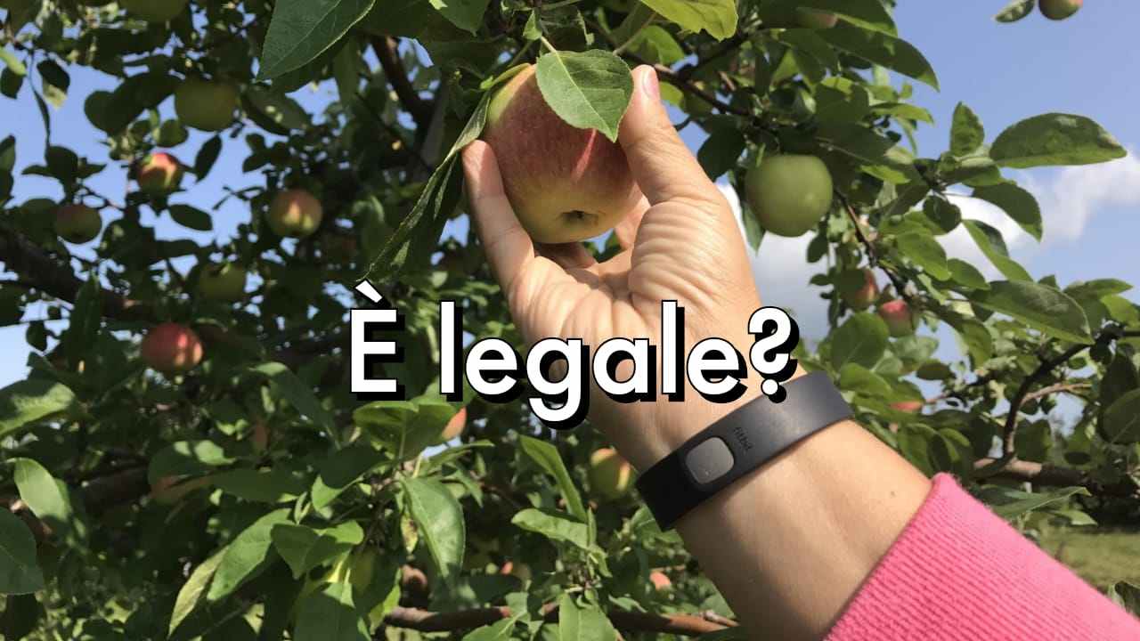 Raccogliere una mela