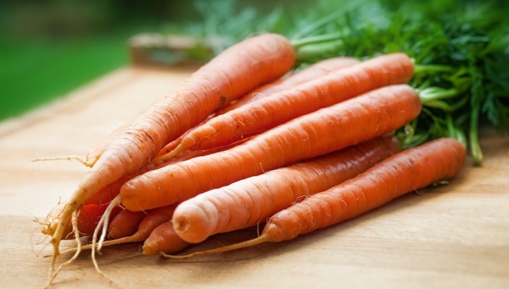 Las propiedades de las zanahorias.