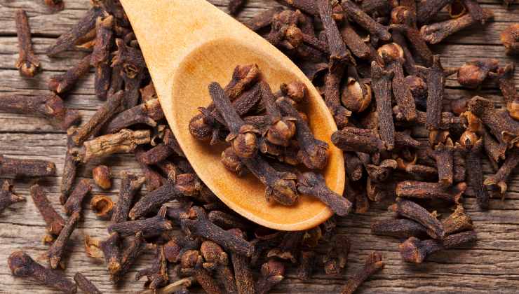 cloves for home