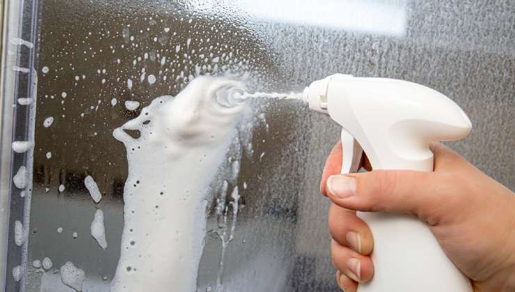 cloves and dishwashing liquid