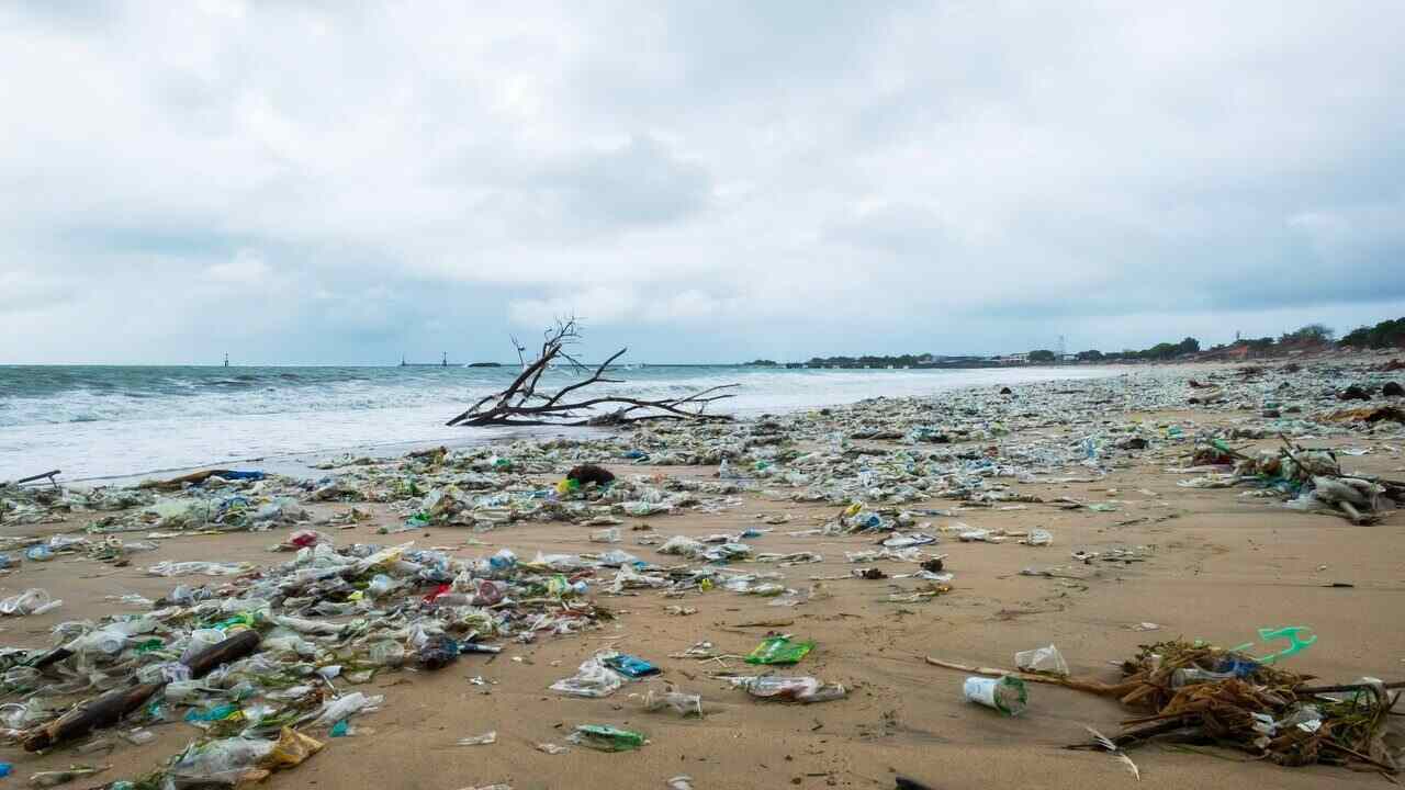 spiaggia ricoperta di spazzatura