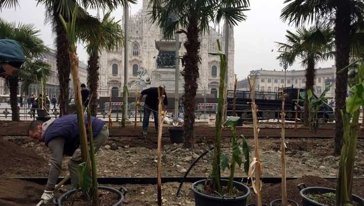 Giardinieri curano le palme