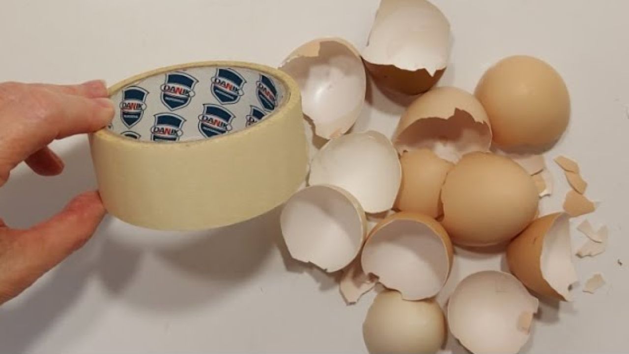 eggshells