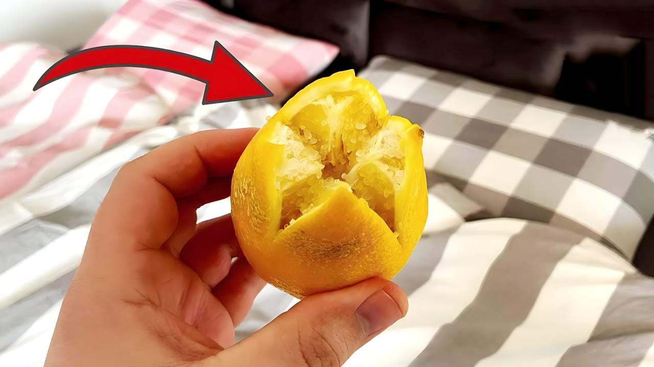 Limone nel letto
