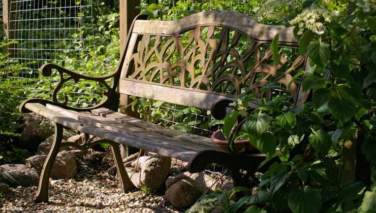 Ombra nel tuo giardino