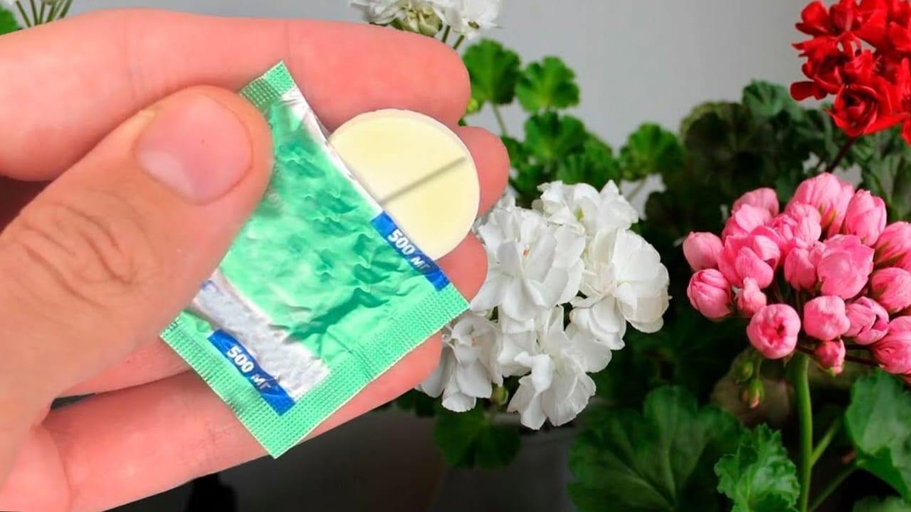 Tableta en flores