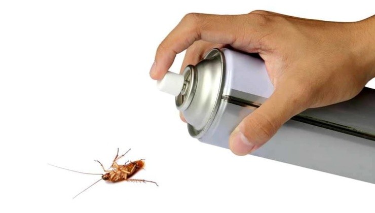 Řešení proti švábům
