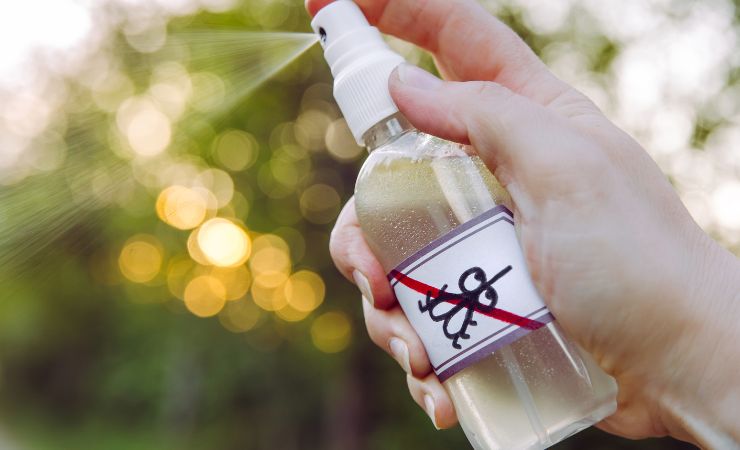 Spray anti-moustique