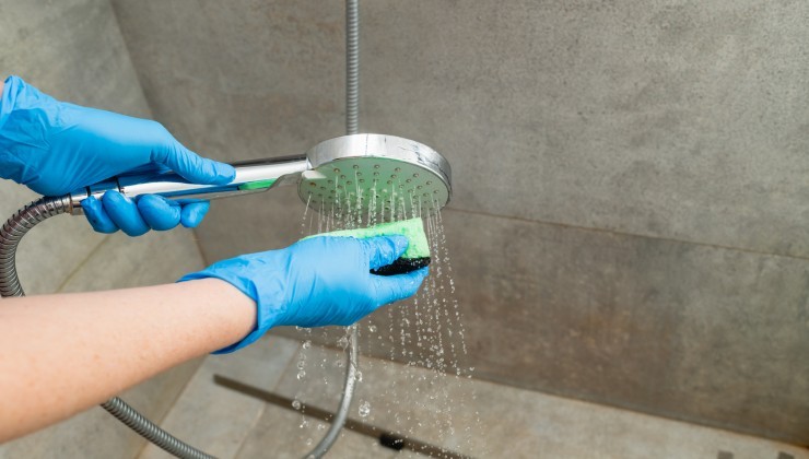 Cleaning the shower