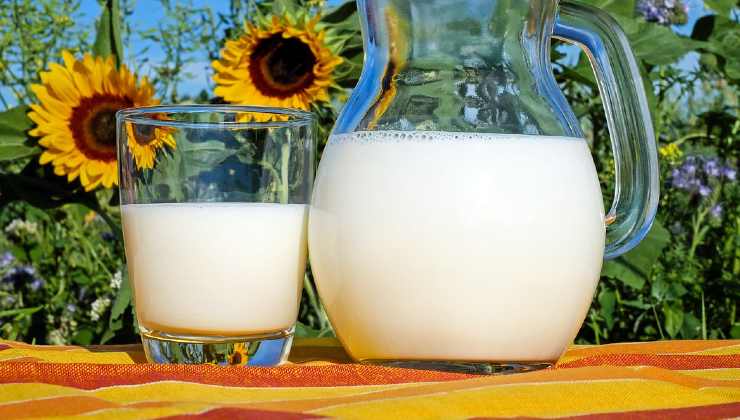 Heiße Milch