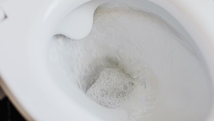Nettoyage des toilettes
