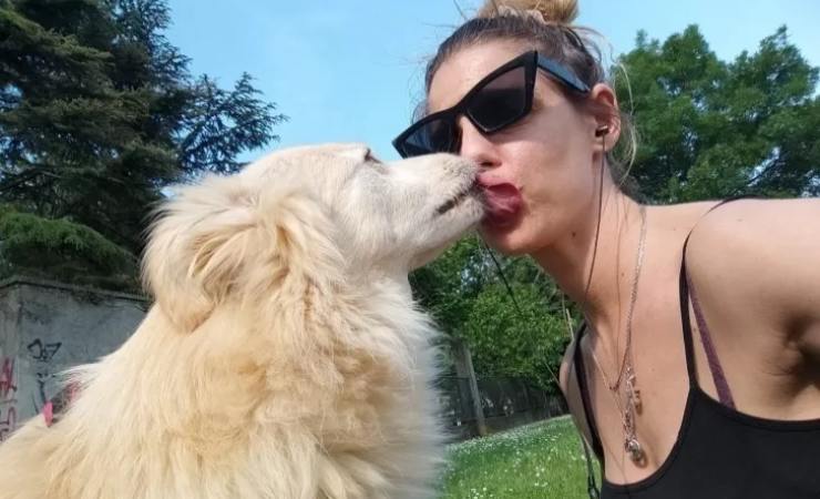 Cane che lecca padrone in bocca