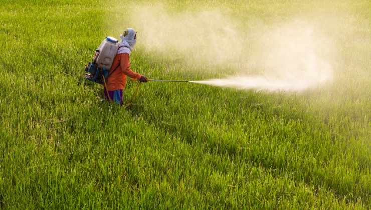 I danni che i pesticidi causano all'ambiente