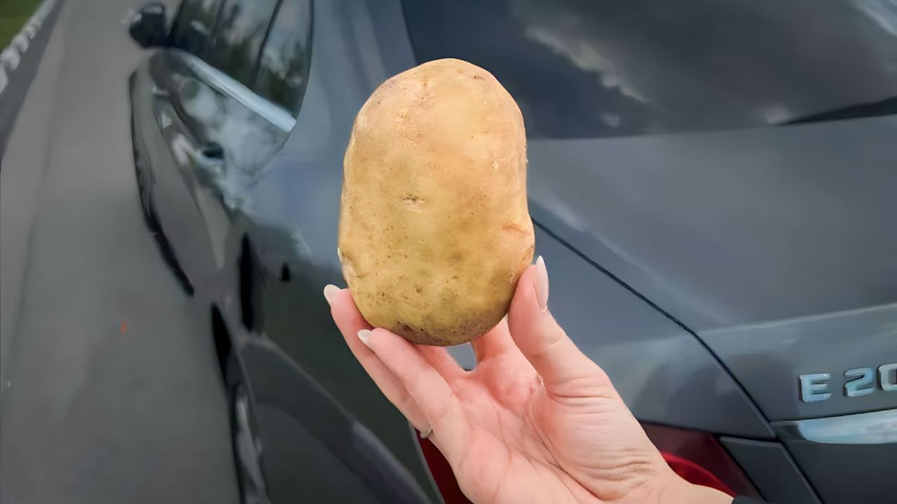 Patata in auto