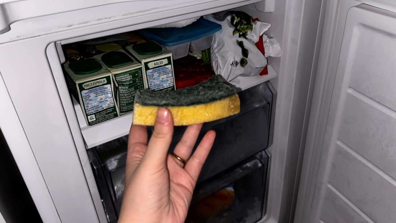Sponge in the freezer