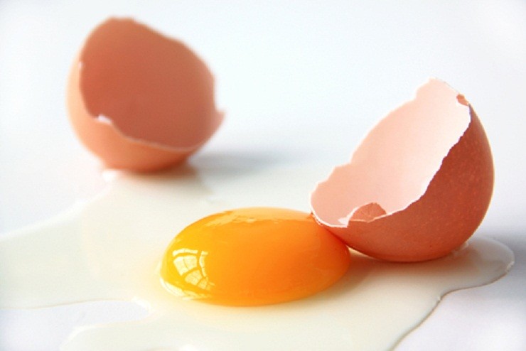œufs à taches blanches