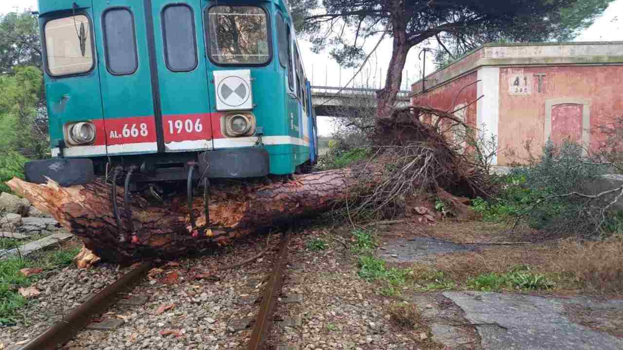 albero blocca treno