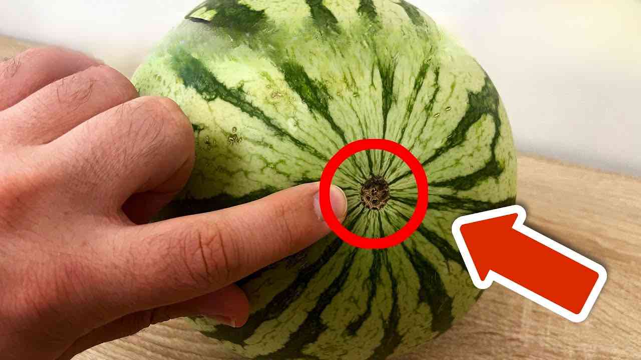 watermelon detail