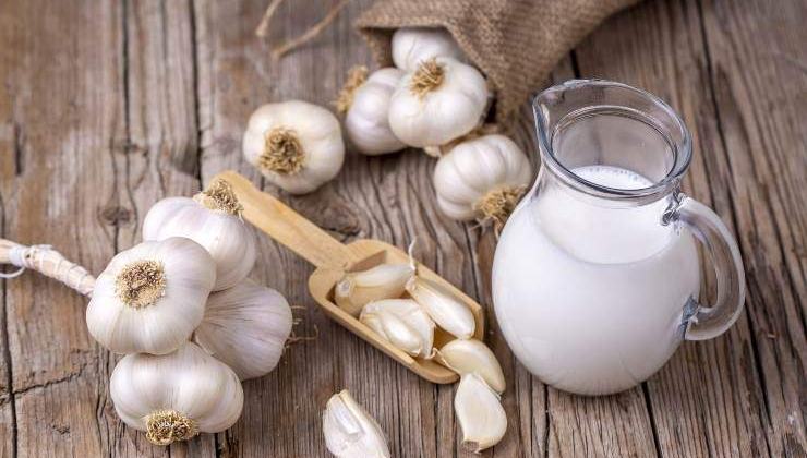 garlic and milk