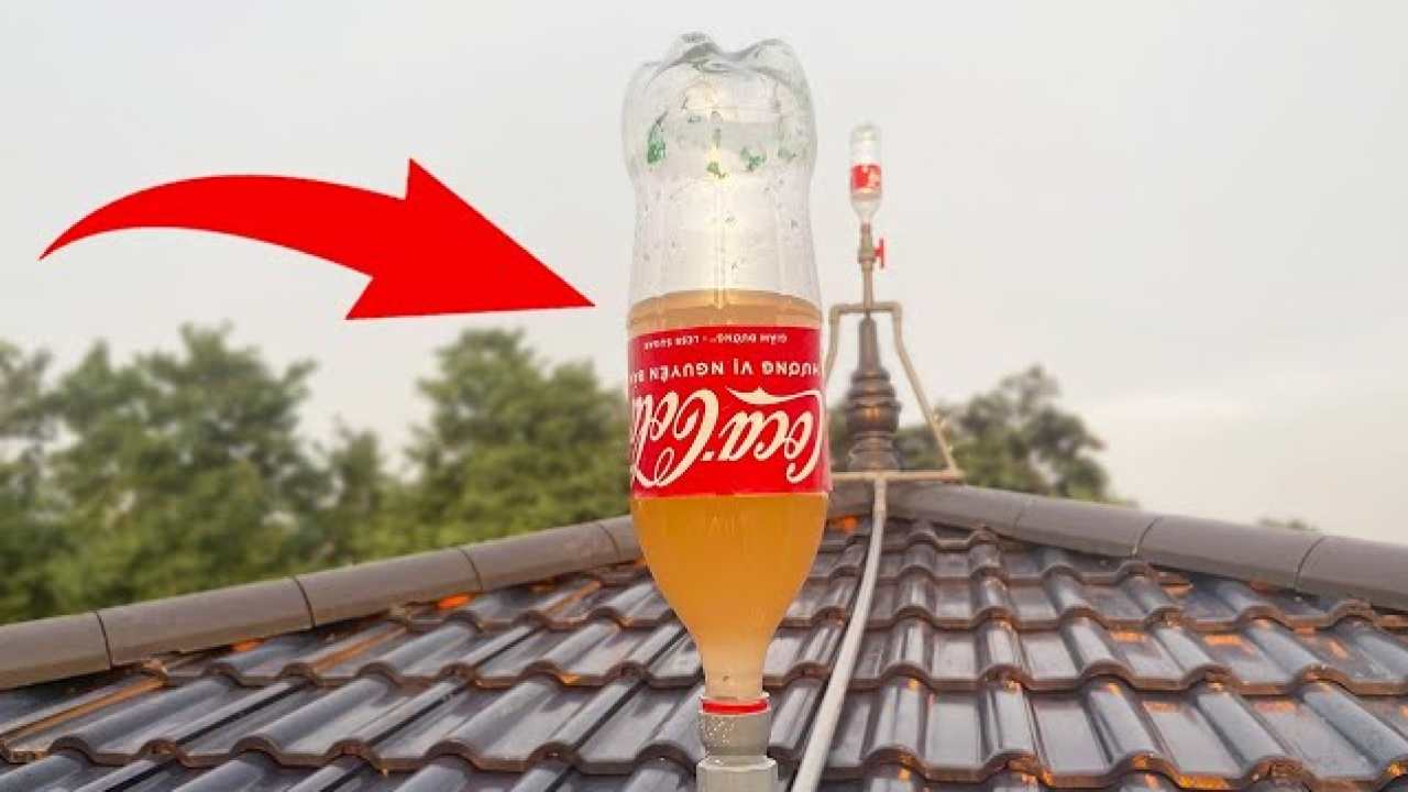 Bottiglia sul tetto