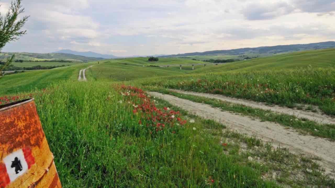 Francigena di Montagna