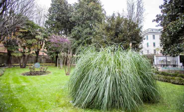 Giardino delle Vergini a Milano