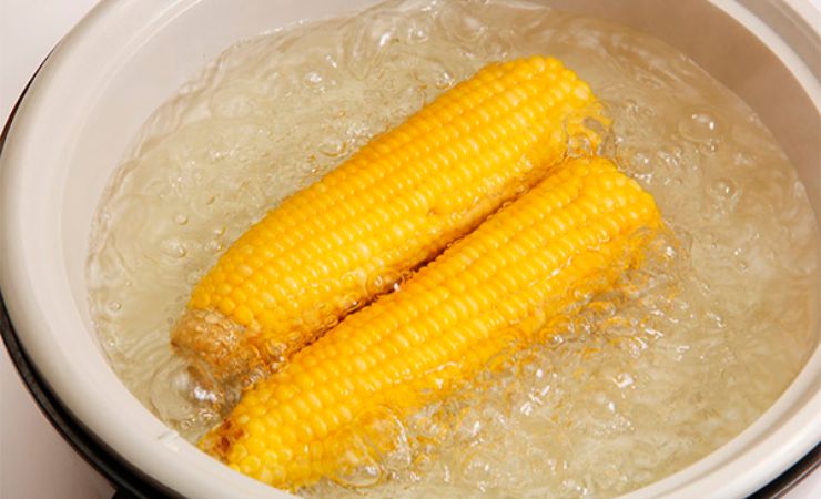 vařená kukuřice