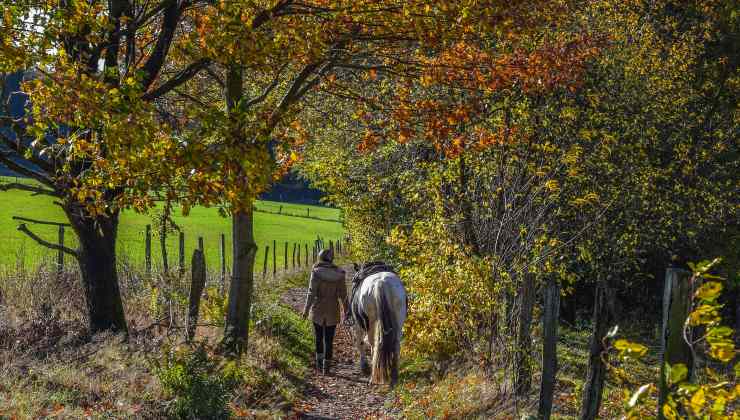 Passeggiate a cavallo