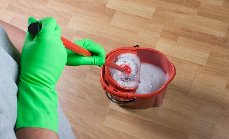 Clean the floors