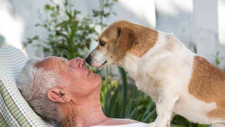 Uomo anziano con cane 